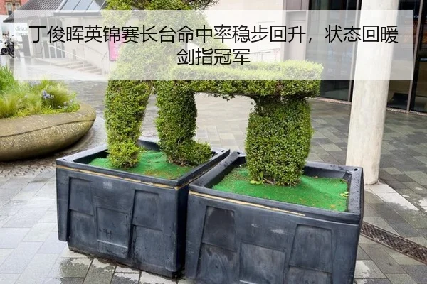 丁俊晖英锦赛长台命中率稳步回升，状态回暖剑指冠军