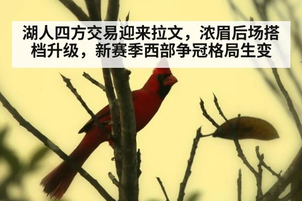 湖人四方交易迎来拉文,浓眉后场搭档升级,新赛季西部争冠格局生变